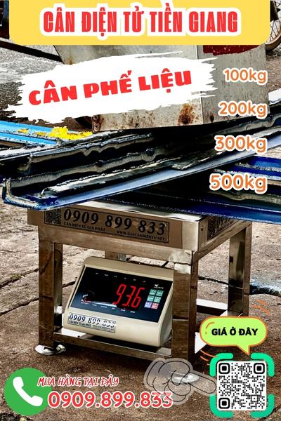 Cân điện tử Tiền Giang - cân điện tử cân phế liệu 200kg 300kg 500kg