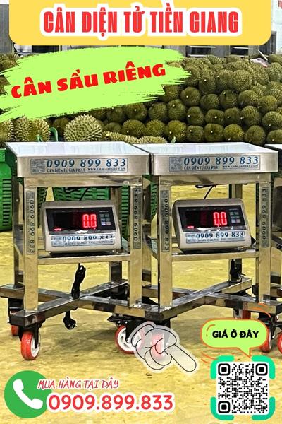 Cân điện tử Tiền Giang - cân sầu riêng 100kg 200kg 300kg 500kg