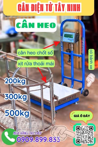 Cân điện tử Tây Ninh - cân heo 200kg 300kg 500kg chốt số & chống nước