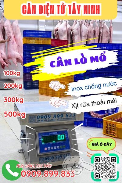 Cân điện tử Tây Ninh - cân lò mổ 100kg 200kg 300kg 500kg