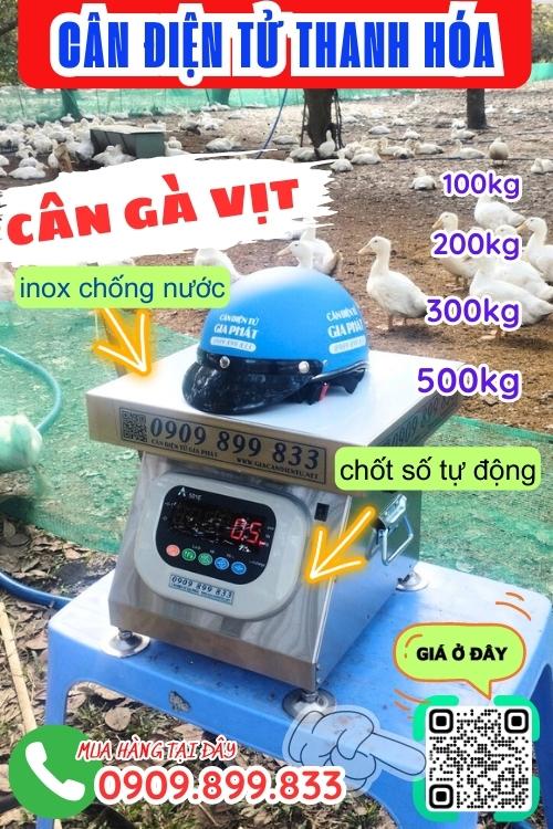 Cân điện tử Thanh Hóa - cân gà vịt 100kg 200kg 300kg 500kg