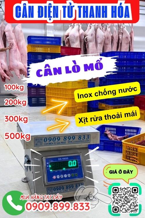 Cân điện tử Thanh Hóa - cân lò mổ 100kg 200kg 300kg 500kg