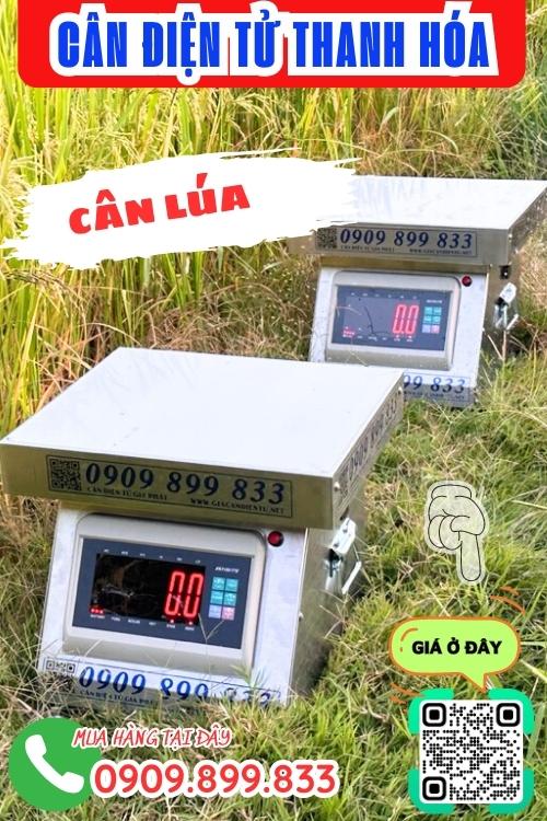Cân điện tử Thanh Hóa - cân lúa 100kg 200kg 300kg inox chống nước
