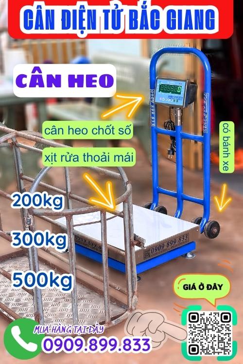 Cân điện tử Bắc Giang - cân heo 200kg 300kg 500kg chốt số & chống nước