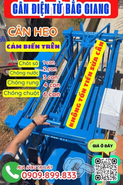 Cân điện tử Bắc Giang - cân điện tử cân heo 200kg 300kg 500kg