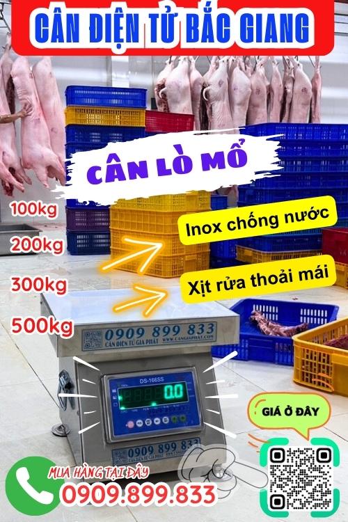 Cân điện tử Bắc Giang - cân lò mổ 100kg 200kg 300kg 500kg