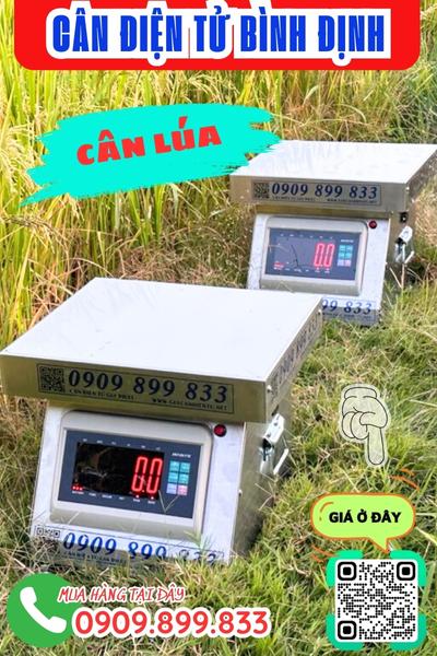 Cân điện tử Bình Định - cân lúa 100kg 200kg 300kg inox chống nước