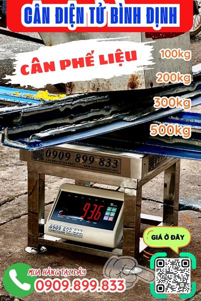 Cân điện tử ở Bình Định - cân điện tử cân phế liệu 200kg 300kg 500kg
