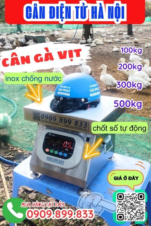 Cân điện tử Hà Nội - cân gà vịt 100kg 200kg 300kg 500kg