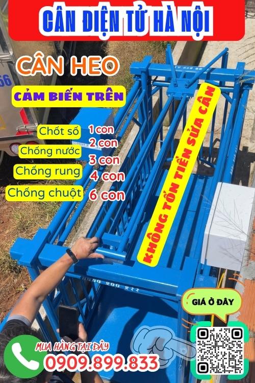 Cân điện tử Hà Nội - cân điện tử cân heo 200kg 300kg 500kg