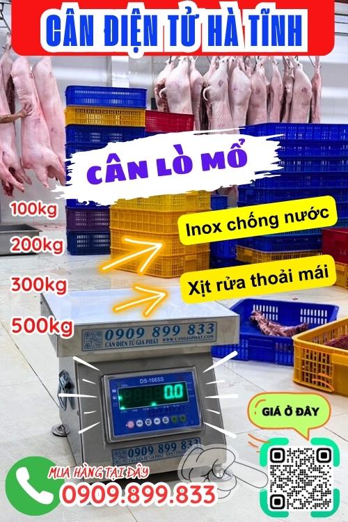 Cân điện tử Hà Tĩnh - cân lò mổ 100kg 200kg 300kg 500kg