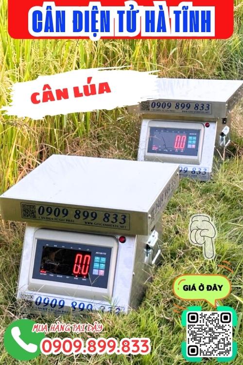 Cân điện tử Hà Tĩnh - cân lúa 100kg 200kg 300kg inox chống nước