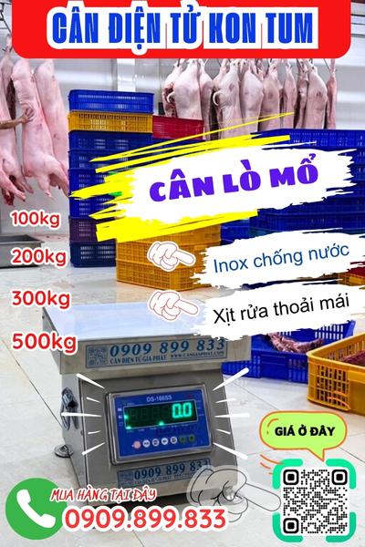 Cân điện tử Kon Tum - cân lò mổ 100kg 200kg 300kg 500kg