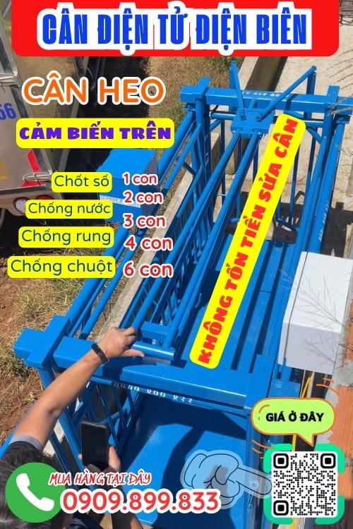 Cân điện tử Điện Biên - cân điện tử cân heo 200kg 300kg 500kg