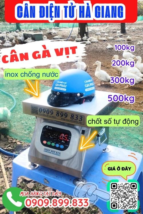 Cân điện tử Hà Giang - cân gà vịt 100kg 200kg 300kg 500kg