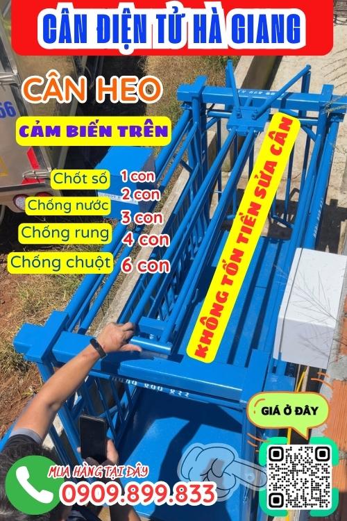 Cân điện tử Hà Giang - cân điện tử cân heo 200kg 300kg 500kg