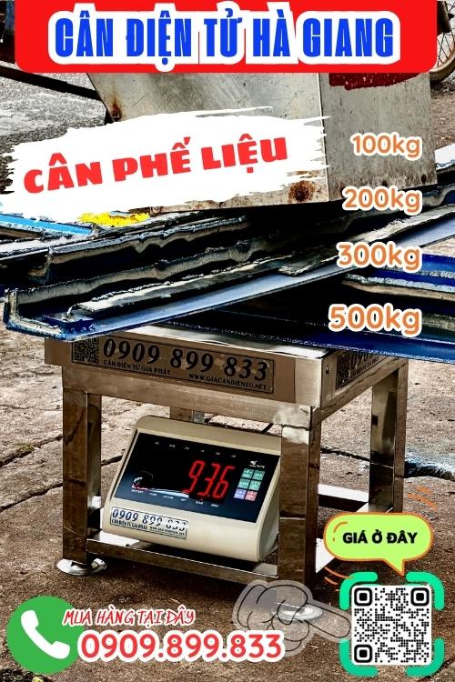 Cân điện tử ở Hà Giang - cân điện tử cân phế liệu 200kg 300kg 500kg