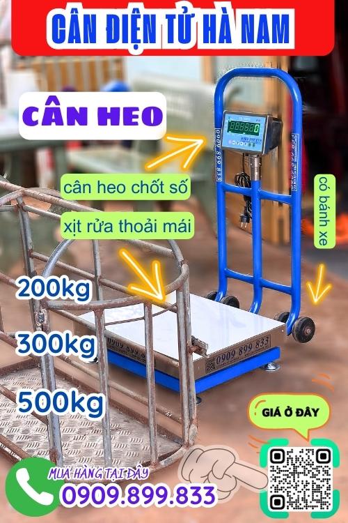 Cân điện tử Hà Nam - cân heo 200kg 300kg 500kg chốt số & chống nước