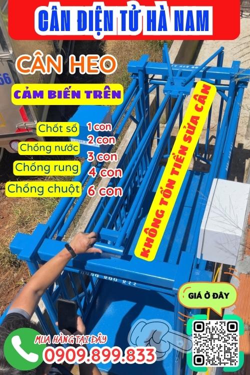 Cân điện tử Hà Nam - cân điện tử cân heo 200kg 300kg 500kg