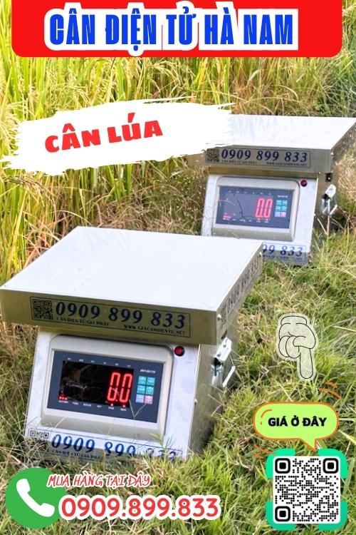Cân điện tử Hà Nam - cân lúa 100kg 200kg 300kg inox chống nước