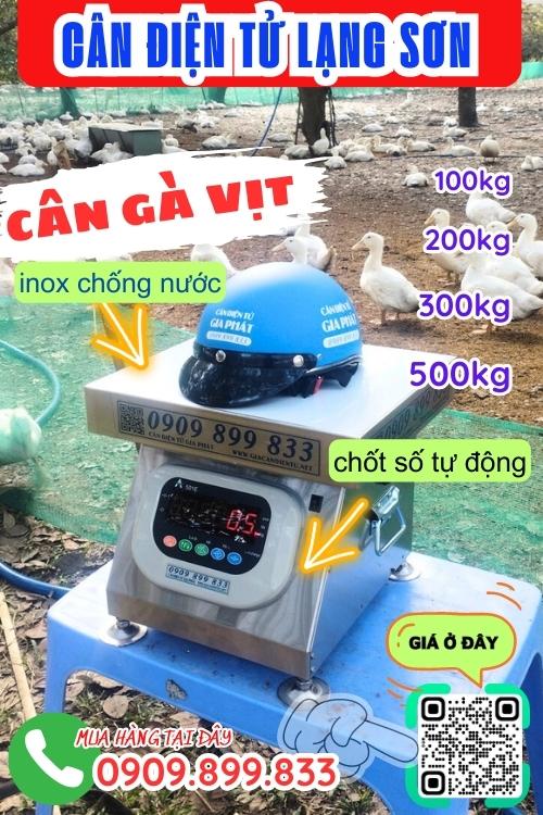 Cân điện tử Lạng Sơn - cân gà vịt 100kg 200kg 300kg 500kg