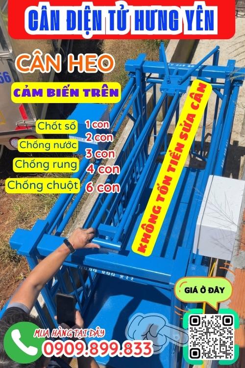 Cân điện tử Hưng Yên - cân điện tử cân heo 200kg 300kg 500kg