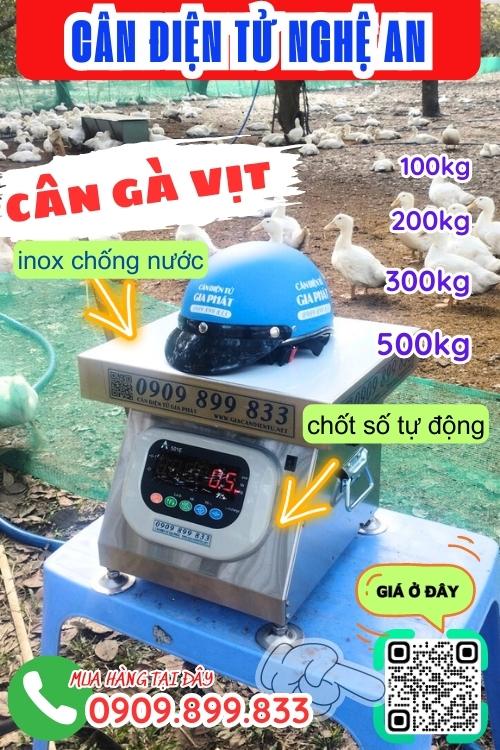 Cân điện tử Nghệ An - cân gà vịt 100kg 200kg 300kg 500kg