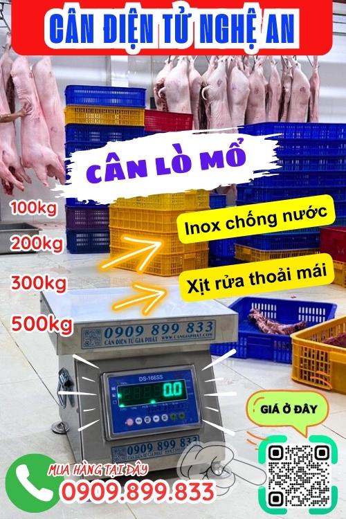 Cân điện tử Nghệ An - cân lò mổ 100kg 200kg 300kg 500kg