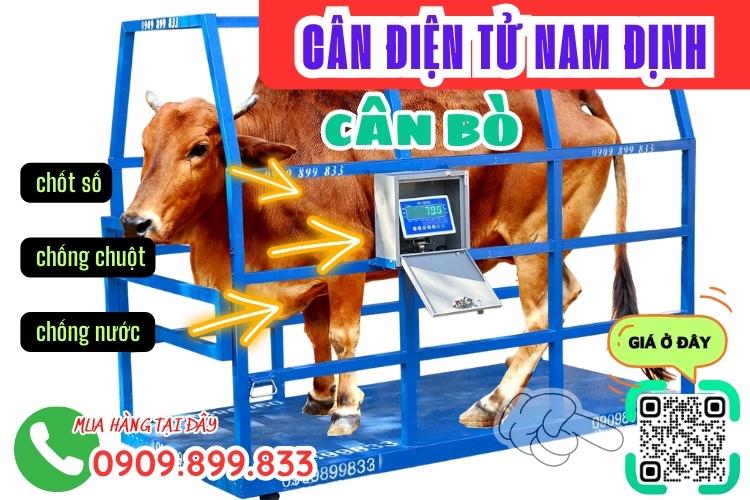 Cân điện tử Nam Định - cân điện tử cân bò 1 tấn 2 tấn