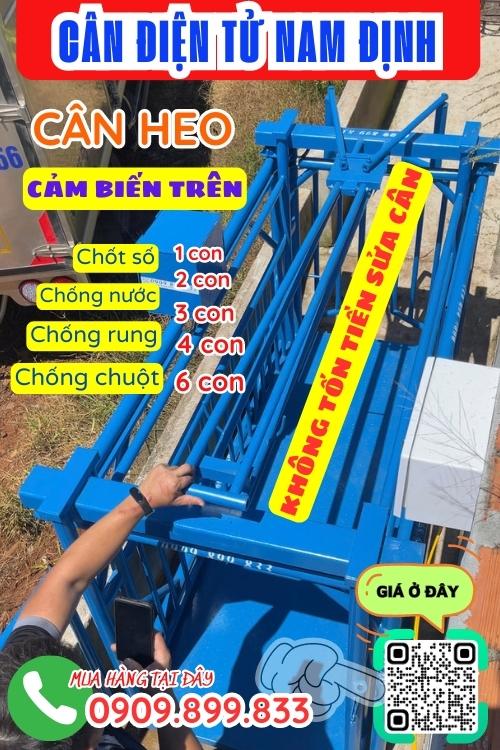 Cân điện tử Nam Định - cân điện tử cân heo 200kg 300kg 500kg