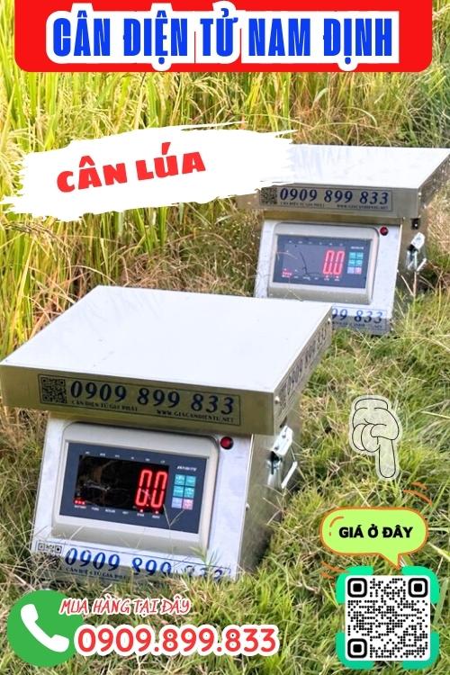 Cân điện tử Nam Định - cân lúa 100kg 200kg 300kg inox chống nước