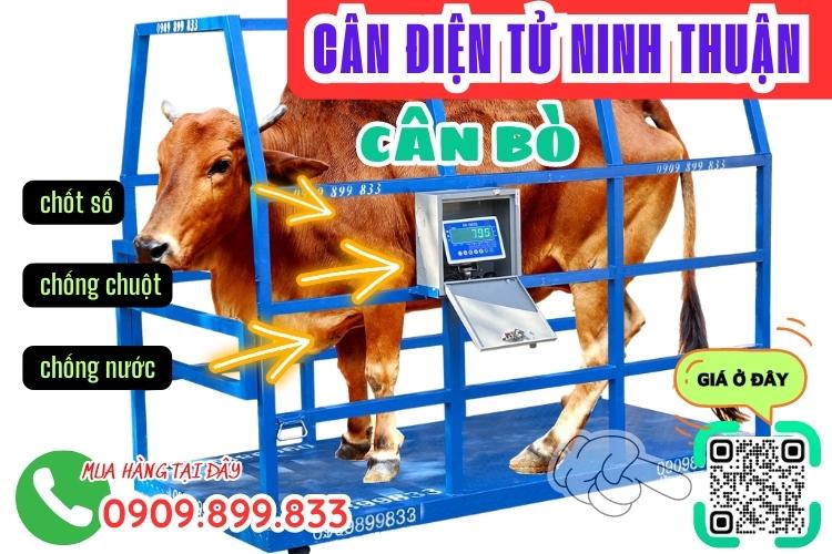 Cân điện tử Ninh Thuận - cân điện tử cân bò 1 tấn 2 tấn