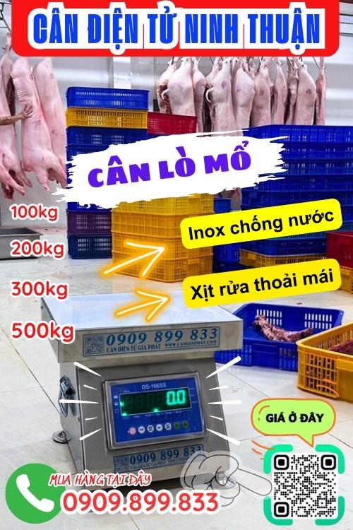 Cân điện tử Ninh Thuận - cân lò mổ 100kg 200kg 300kg 500kg