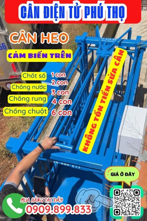 Cân điện tử Phú Thọ - cân điện tử cân heo 200kg 300kg 500kg