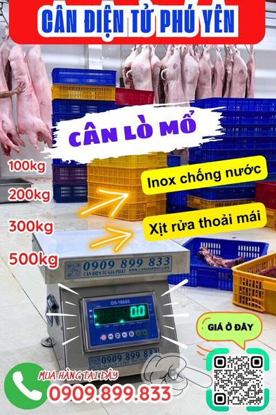 Cân điện tử ở Bình Định - cân lò mổ 100kg 200kg 300kg 500kg
