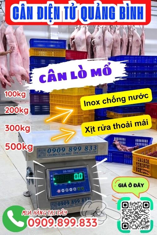 Cân điện tử Quảng Bình - cân lò mổ 100kg 200kg 300kg 500kg