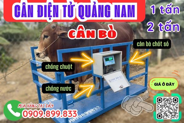 Cân điện tử Quảng Nam, mua cân điện tử ở đâu giá rẻ, uy tín và chính xác?