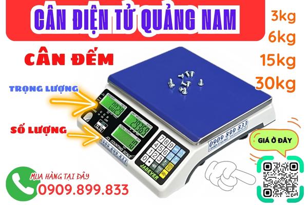 Cân điện tử ở Quảng Nam - cân đếm điện tử 3kg 6kg 15kg 30kg 60kg 150kg 300kg 500kg