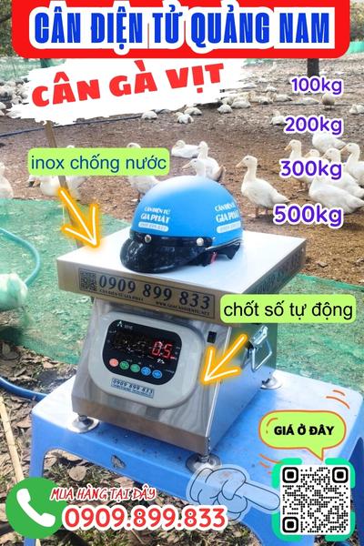 Cân điện tử Quảng Nam - cân gà vịt 100kg 200kg 300kg 500kg