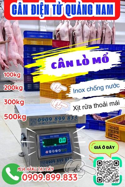 Cân điện tử Quảng Nam - cân lò mổ 100kg 200kg 300kg 500kg