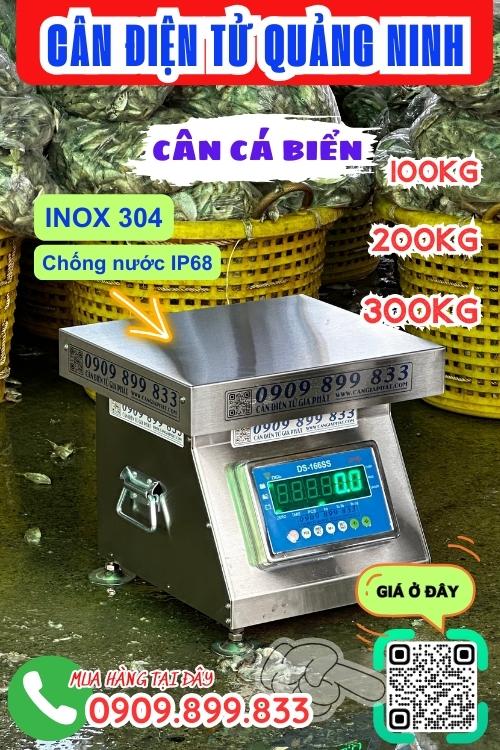 Cân điện tử Quảng Ninh - cân điện tử cân cá 100kg 200kg 300kg 500kg