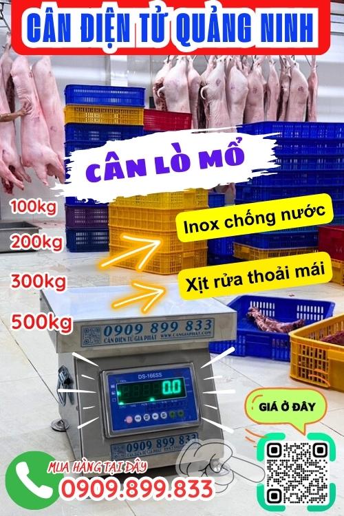 Cân điện tử Quảng Ninh - cân lò mổ 100kg 200kg 300kg 500kg