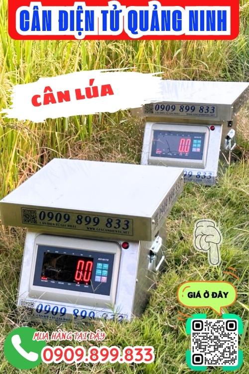 Cân điện tử Quảng Ninh - cân lúa 100kg 200kg 300kg inox chống nước