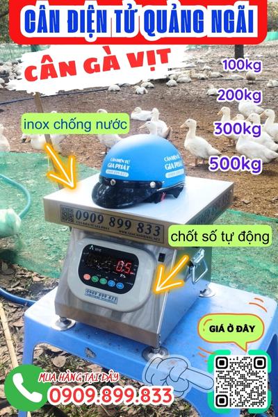 Cân điện tử Quảng Ngãi - cân gà vịt 100kg 200kg 300kg 500kg