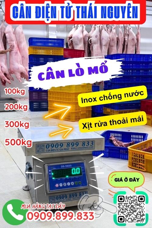 Cân điện tử Thái Nguyên - cân lò mổ 100kg 200kg 300kg 500kg