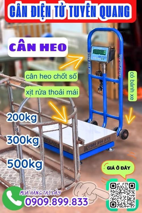 Cân điện tử Tuyên Quang - cân heo 200kg 300kg 500kg chốt số & chống nước