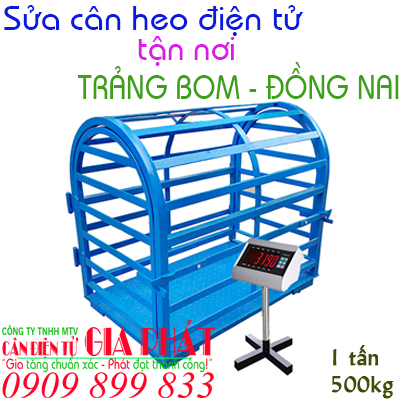 Sửa cân heo điện tử ở tại Trảng Bom Đồng Nai 300kg 500g 1 2 3 5 tấn