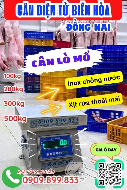 Cân điện tử Biên Hòa Đồng Nai - cân lò mổ 100kg 200kg 300kg 500kg