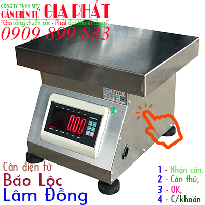 Cân điện tử Bảo Lộc Lâm Đồng 1kg 2kg 200kg 300kg 500kg