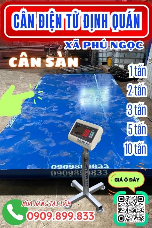 Cân điện tử Phú Ngọc Định Quán Đồng Nai - cân sàn 1 2 3 5 tấn